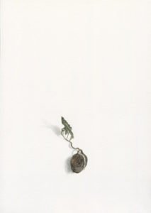Alexandra Kontriner, Eiche, 2019, watercolorandpencilonpaper, 26,9 x 19 cm, CourtesyGalerieHeikeCurtze (1)