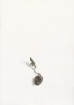 Alexandra Kontriner, Eiche, 2019, watercolorandpencilonpaper, 26,9 x 19 cm, CourtesyGalerieHeikeCurtze (1)