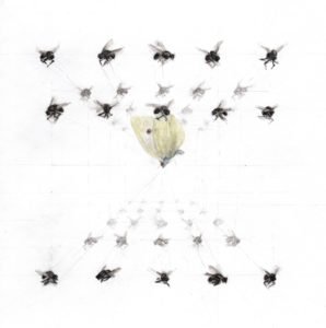Alexandra Kontriner, FliesAndButterflies, 2014, watercolorandpencilonpaper, 53 x 38 cm, CourtesyGalerieHeikeCurtze (2)