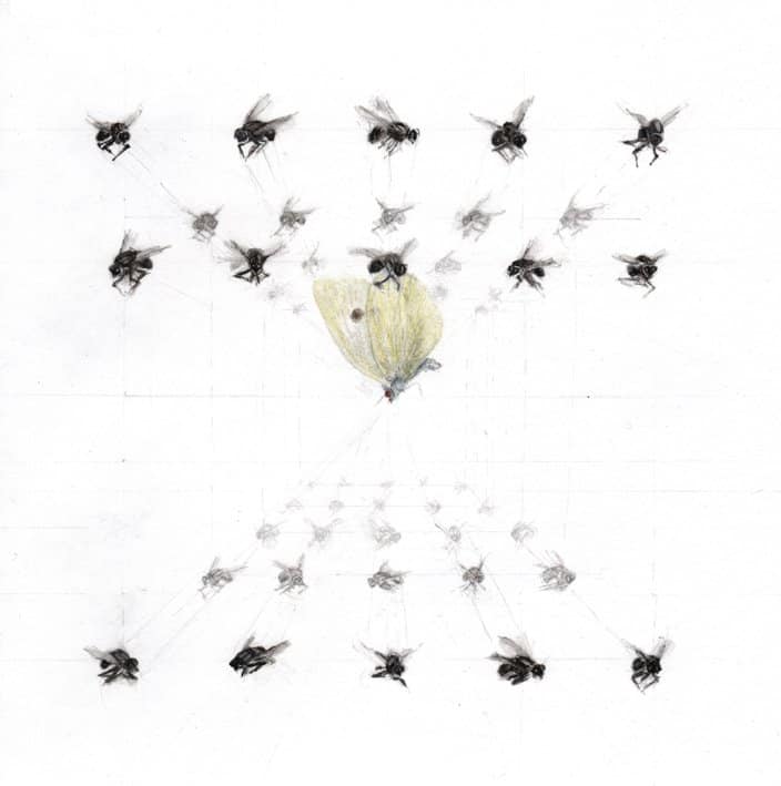 Alexandra Kontriner, FliesAndButterflies, 2014, watercolorandpencilonpaper, 53 x 38 cm, CourtesyGalerieHeikeCurtze (2)