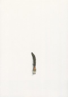 Alexandra Kontriner, Magnolie, 2019, watercolorandpencilonpaper, 26,9 x 19 cm, CourtesyGalerieHeikeCurtze (5)