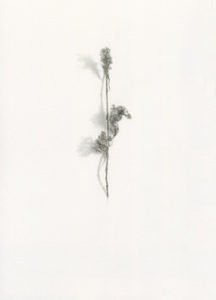 Alexandra Kontriner, Ohne Titel, 2019, watercolorandpencilonpaper, 26,9 x 19 cm, CourtesyGalerieHeikeCurtze (4)