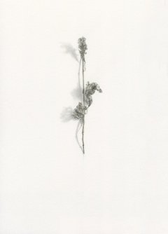 Alexandra Kontriner, Ohne Titel, 2019, watercolorandpencilonpaper, 26,9 x 19 cm, CourtesyGalerieHeikeCurtze (4)