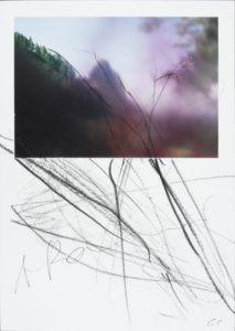 ArnulfRainer,Untitled Maltrechas, 2005-2006, PencilDrawing on Photograph, 21x29,5 cm, CourtesyGHC, CopyrightArnulfRainer (5) wp