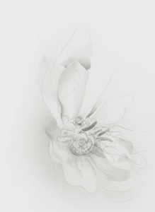 ErichGruber, Aufbruch, 2018, pencilonpaper, 52x38cm, GalerieHeikeCurtze (4)