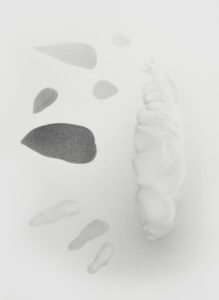 ErichGruber, Frucht 2, 2018, pencilonpaper, 52x38cm, GalerieHeikeCurtze (5)