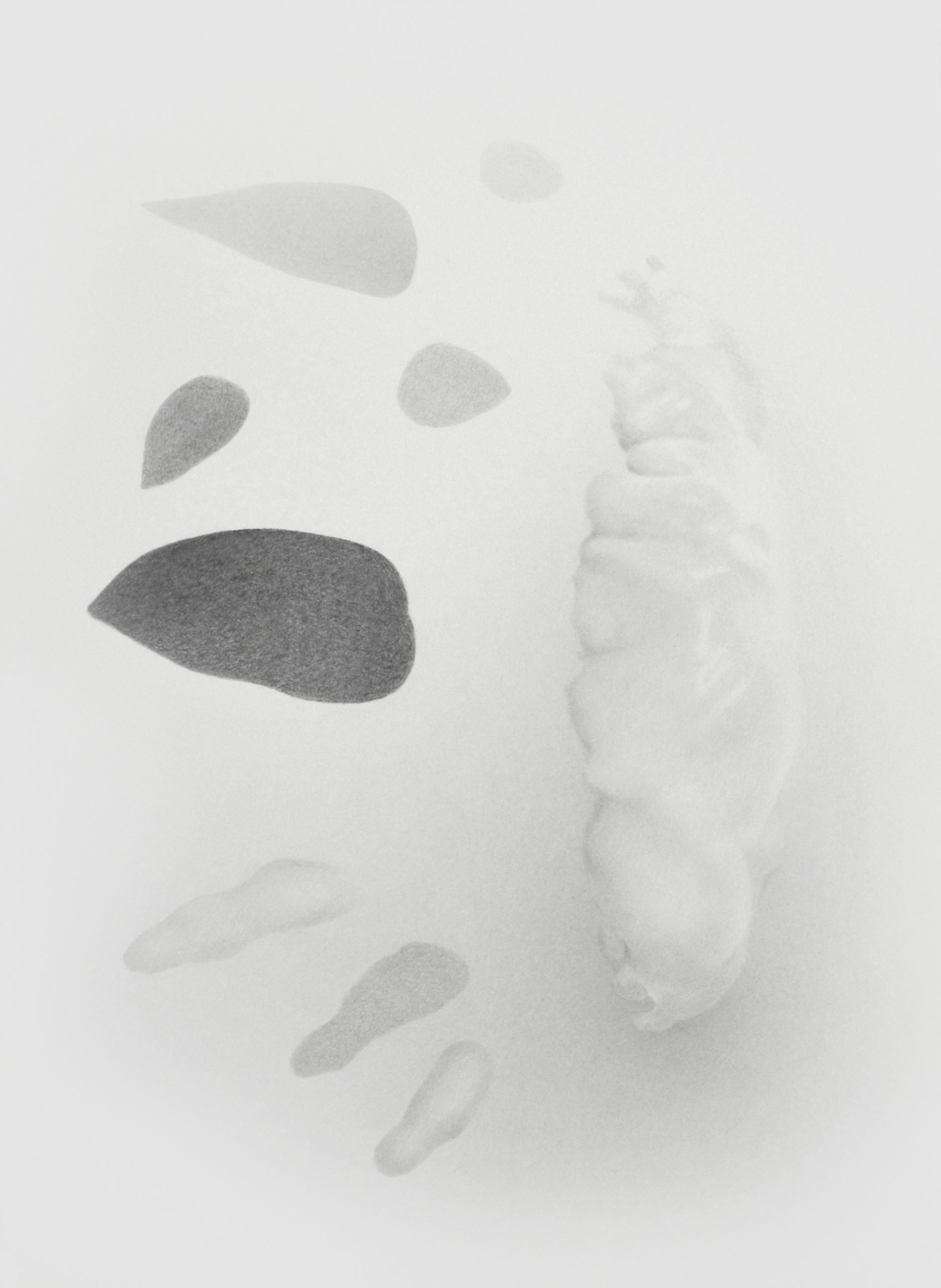 ErichGruber, Frucht 2, 2018, pencilonpaper, 52x38cm, GalerieHeikeCurtze (5)