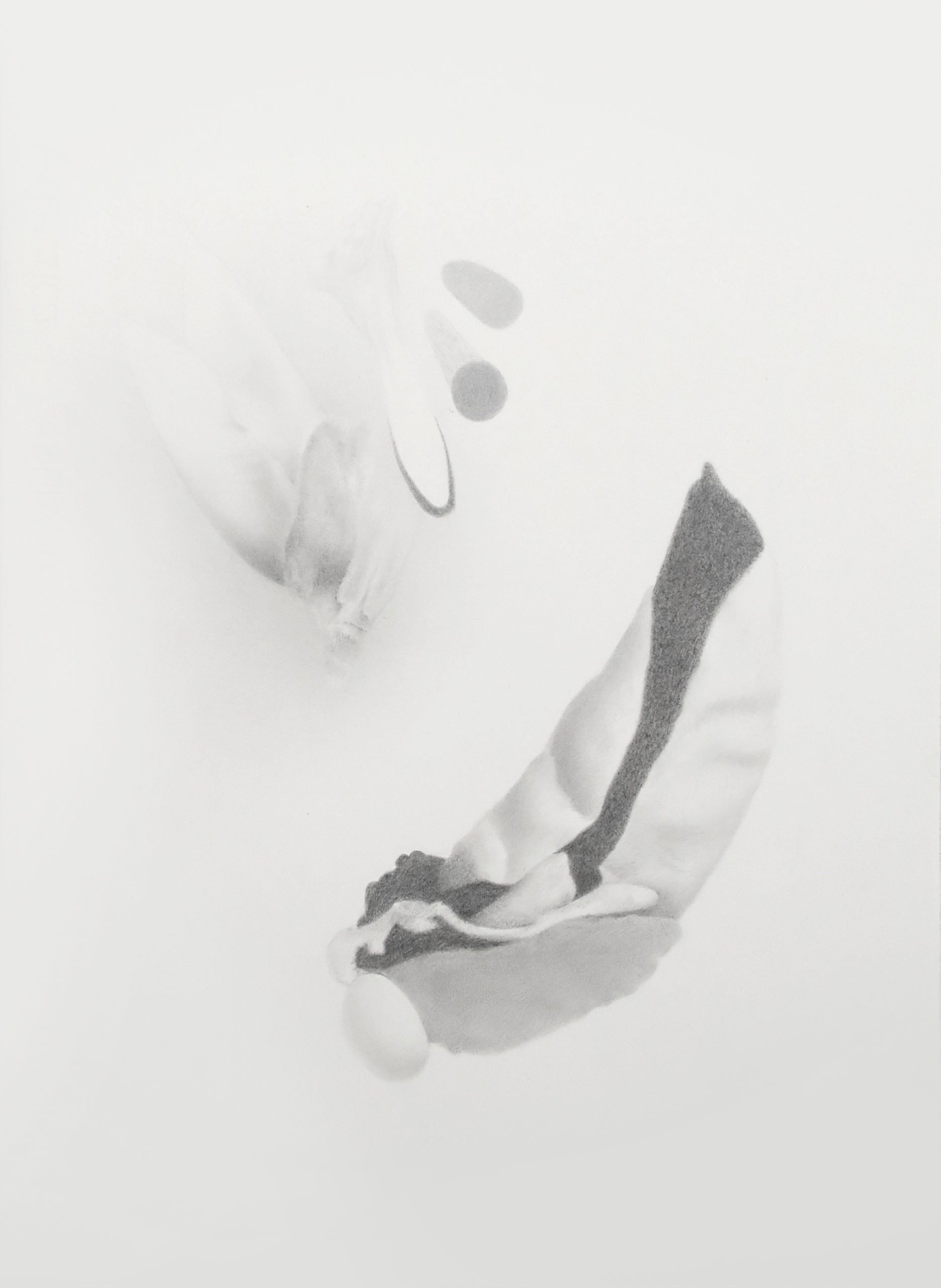 ErichGruber, Frucht, 2018, pencilonpaper, 52x38cm, GalerieHeikeCurtze (3)