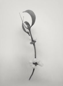 ErichGruber, Mutant, 2018, pencilonpaper, 52x38cm, GalerieHeikeCurtze (1)