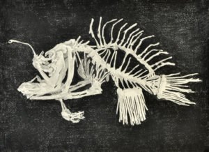 NestorKovachev, COD1, 2018, pencil and nero pencil on paper, 28x38cm, CopyrightNestorKovachev, CourtesyGalerieHeikeCurtze (1)