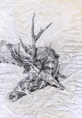 RamonaSchnekenburger, Hirsch, 2017, 36,2 x 25,7 cm, Öl und Bleistift auf Papier, GalerieHeikeCurtze (2)