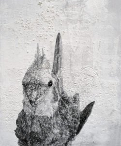 RamonaSchnekenburger, Nymphensittich:Cockateel, 2018, Pencil,Oil color and newspaper print on wooden board, 30x25x3 cm, CopyrightRamonaSchnekenburger, CourtesyGalerieHeikeCurtze (3)