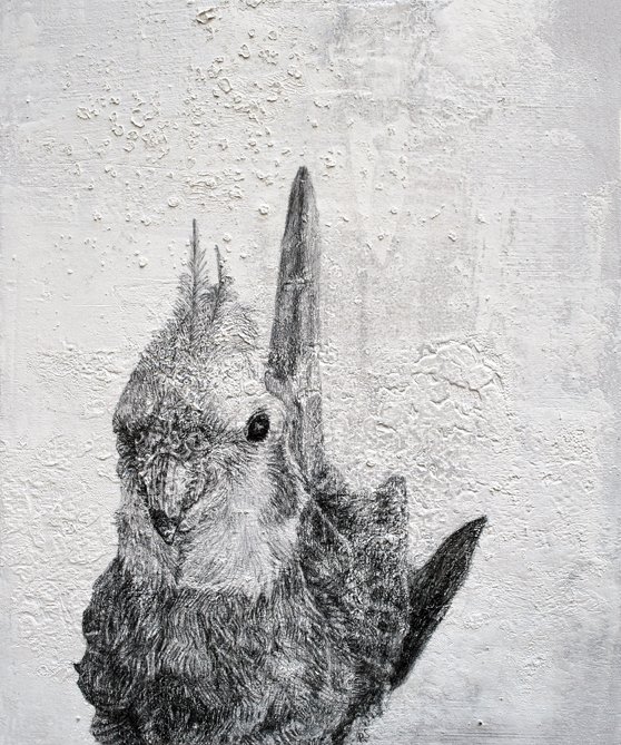 RamonaSchnekenburger, Nymphensittich:Cockateel, 2018, Pencil,Oil color and newspaper print on wooden board, 30x25x3 cm, CopyrightRamonaSchnekenburger, CourtesyGalerieHeikeCurtze (3)
