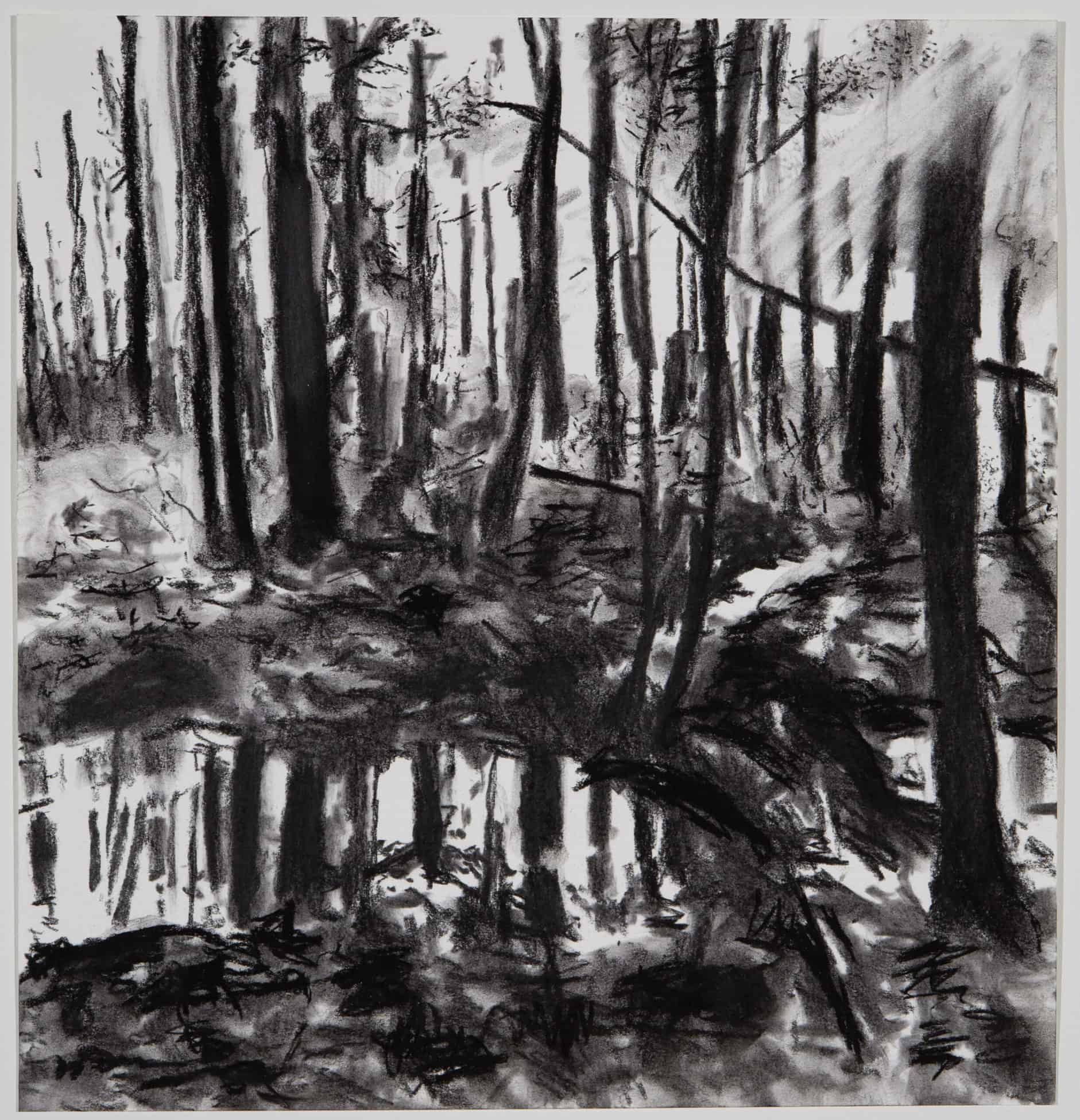 600049: "Wäldchen", "Copse", 2019, Charcoal on Paper, 33.6 x 32 cm