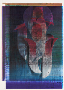 Claus Georg Stabe_The_Topaz_Glove_VII_2021_ballpoint pen on collotype_70x50cm_courtesy REITER Leipzig � Berlin_© the artist