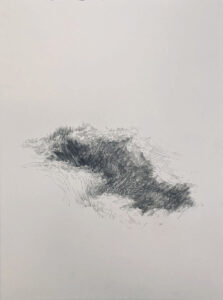 STEPHANIE MANSY_Jardin infini