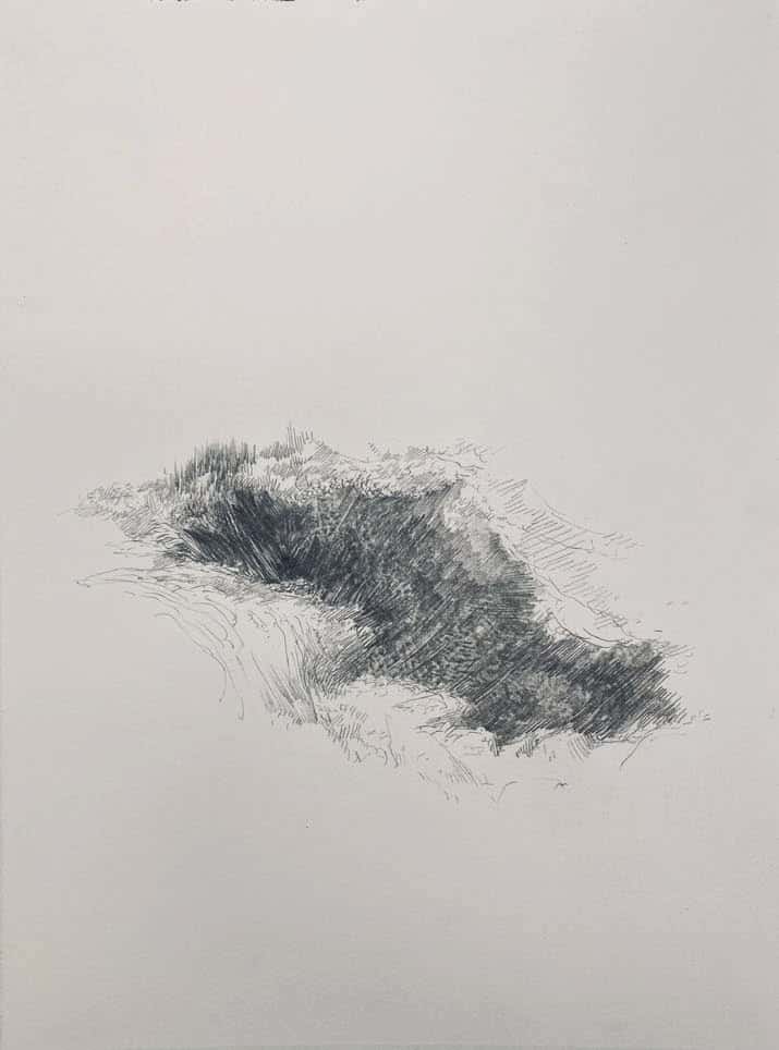 STEPHANIE MANSY_Jardin infini