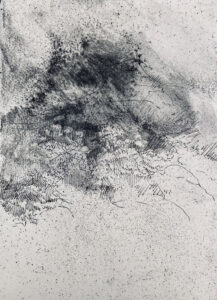 STEPHANIE MANSY_Opera biotique, zone II