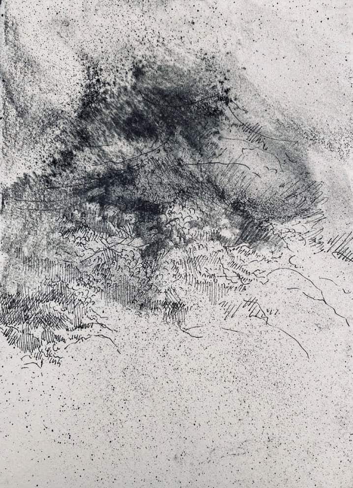 STEPHANIE MANSY_Opera biotique, zone II