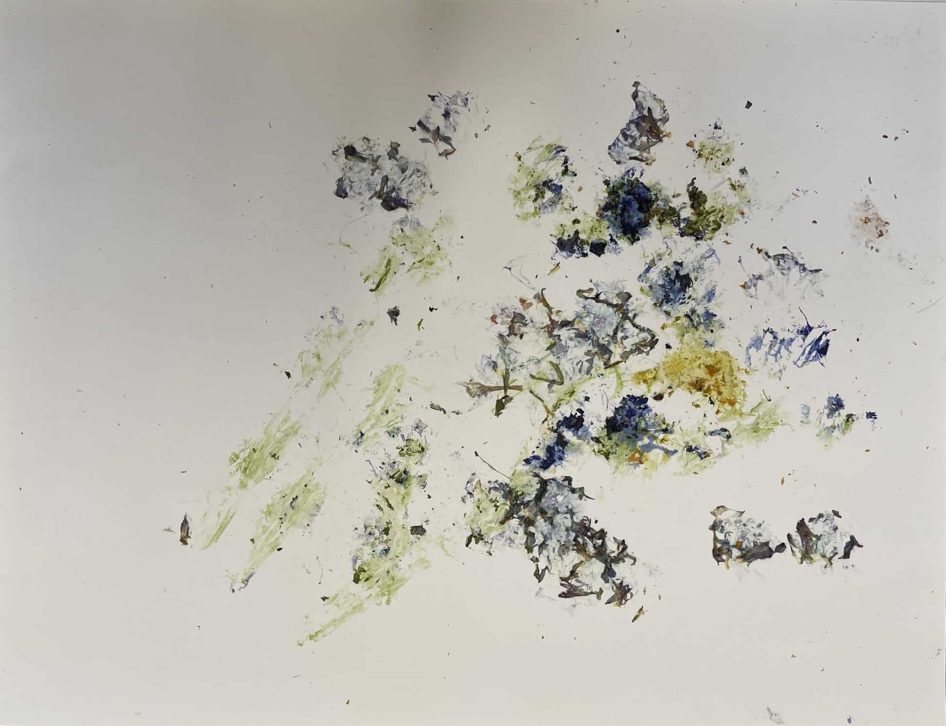 Stéphane Thidet, Printemps, Fleurs écrasées au marteau sur papier, 45,5 x 60 cm, Courtesy de l'artiste et de la galerie Aline Vidal