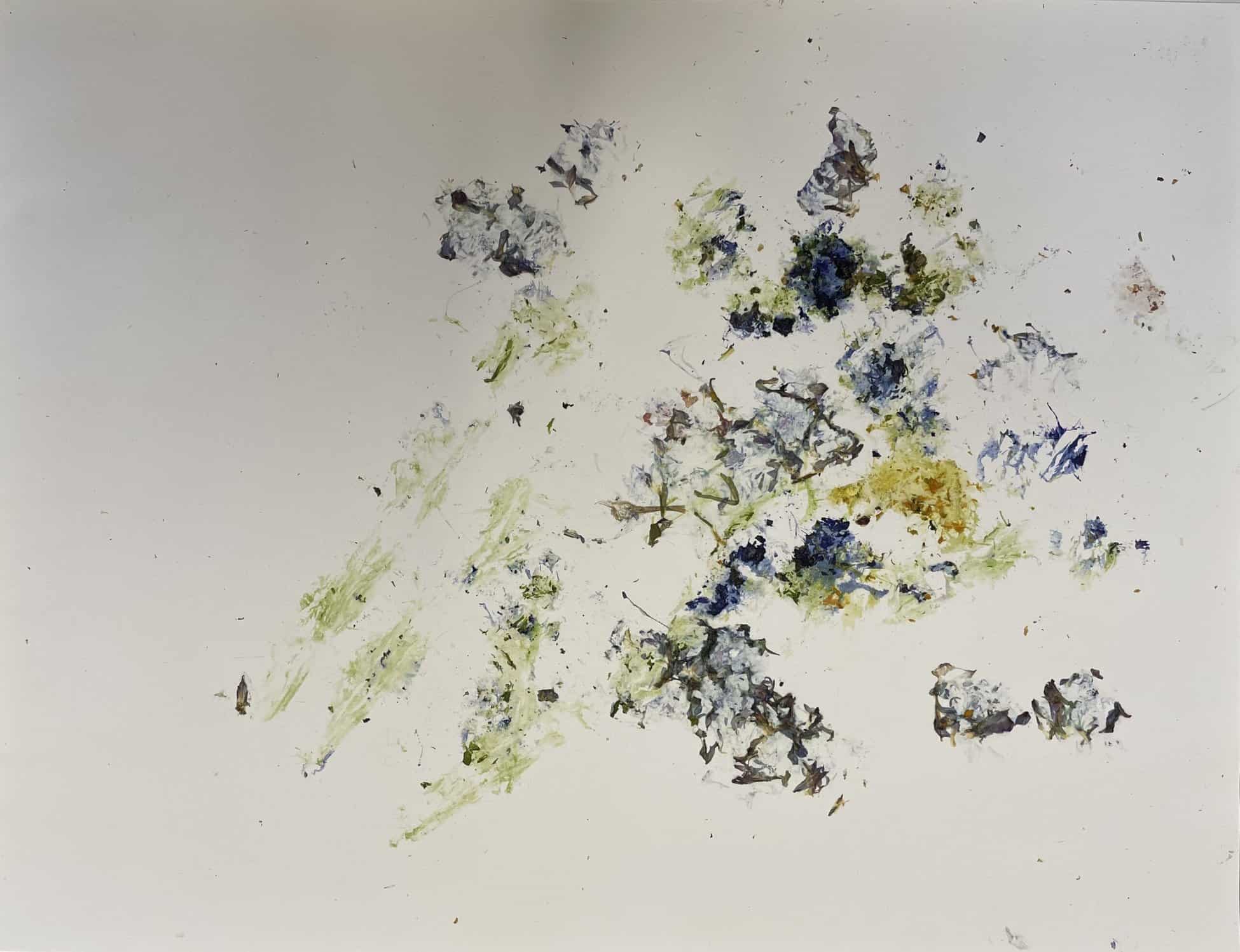 Stéphane Thidet, Printemps, Fleurs écrasées au marteau sur papier, 45,5 x 60 cm, Courtesy de l'artiste et de la galerie Aline Vidal