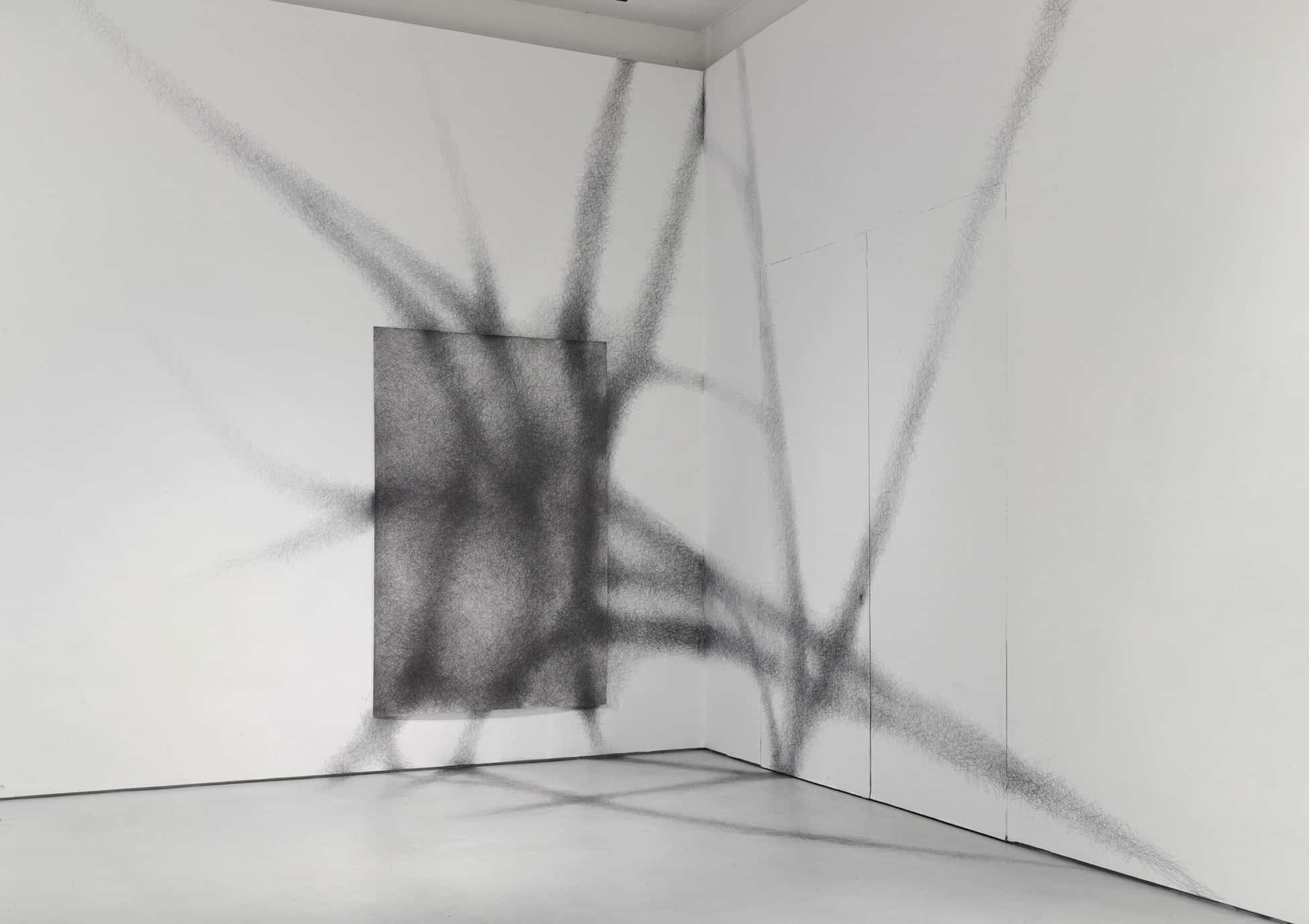 Boryana Petkova, Desire Lines, 2023. Dessin sur papier et mur © Boryana Petkova, courtesy 110 Galerie
